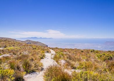 Path on Table Mountain