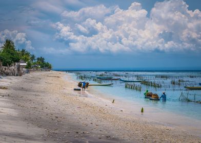 Seaweed Plantation Farm By