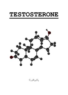 Testosterone