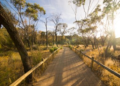 Arid Australia Australian 