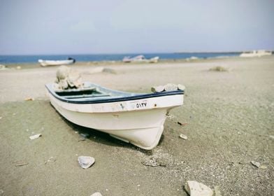 Boat on the Shore