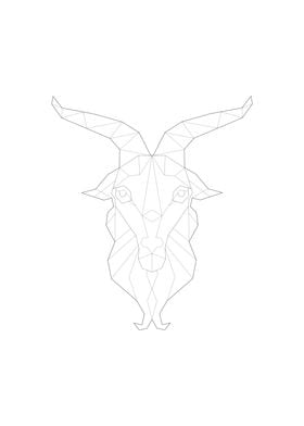 Capricorn