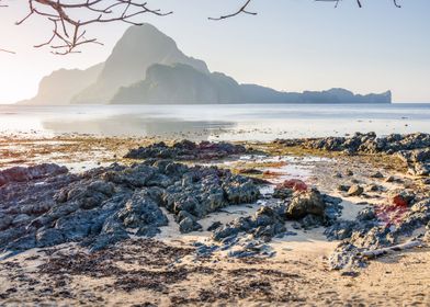 Rocky Beach During Low Tid