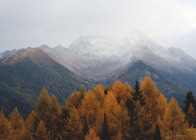 Autumn and winter mountain