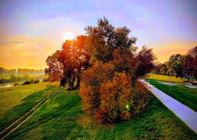 Sunset behind the trees