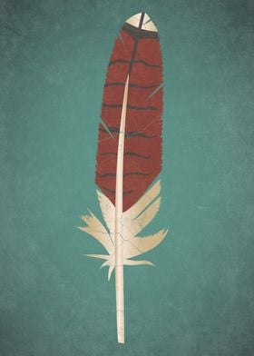 Red Tailed Hawk Feather