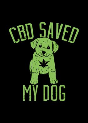 CBD Saved My Dog