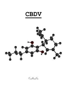 CBDV