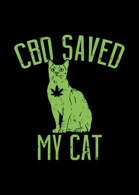 CBD Saved My Cat