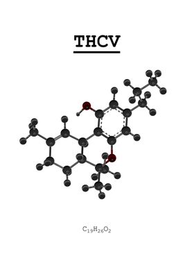 THCV