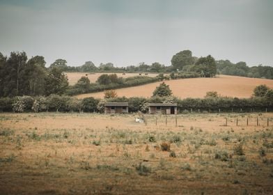 Double Shed