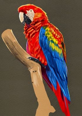 Parrot on a tree branch