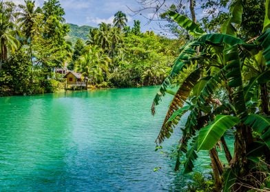 Jungle Green River Loboc A