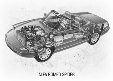 Alfa Romeo Spider