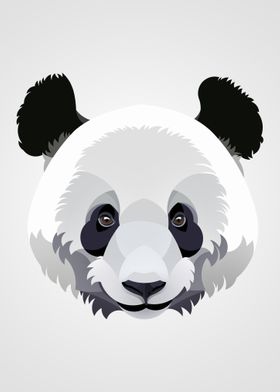 Panda Illustration