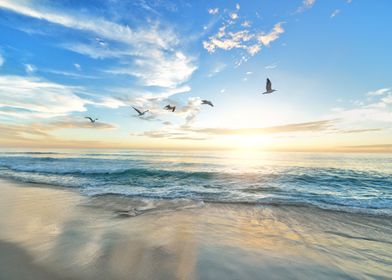 Seagulls On The Beach