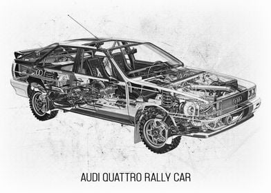 Audi Quattro Rally Car