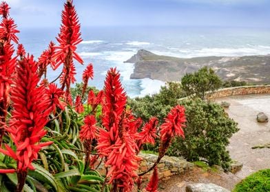 Cape Point National park 