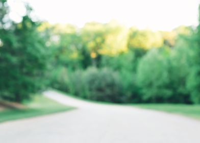 Country Rural Road Curving