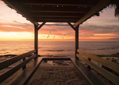 Beach Ocean View