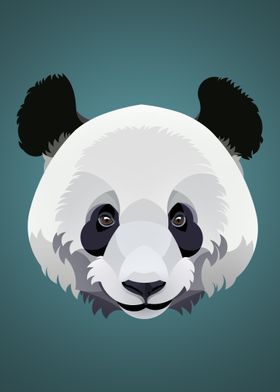 Panda Illustration