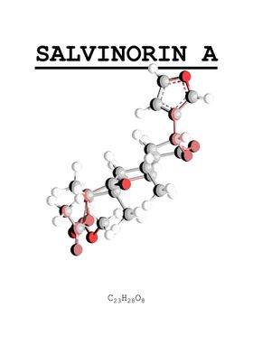 Salvinorin A