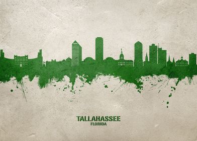 Tallahassee Skyline