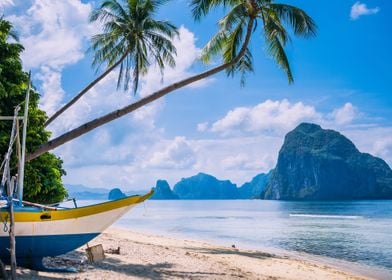 Boat On Shore Under Palms 