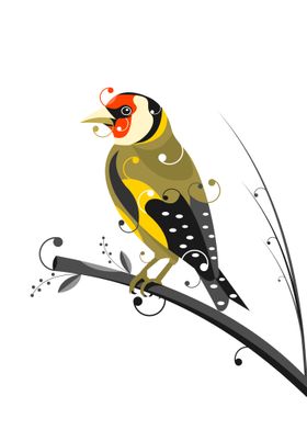 goldfinch bird