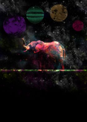 Elephant within Stars