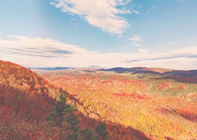 Blue Ridge Mountains In Au