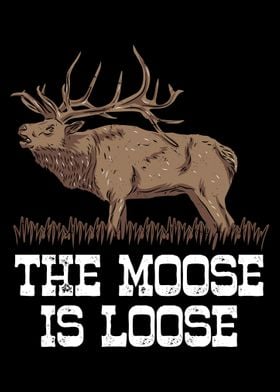 The Moose is loose