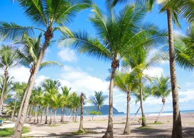 Beach Beautiful Beauty Blu