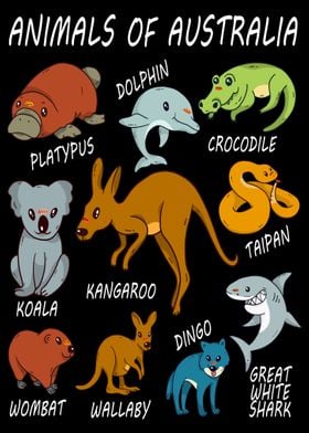 Animals Of Australia