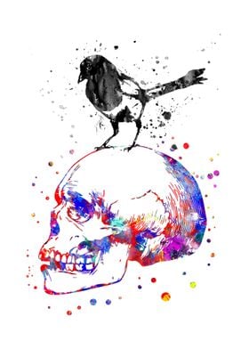 Magpie on a skull 