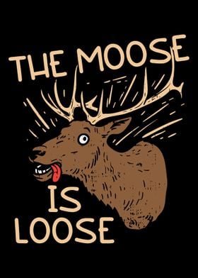 The Moose is loose