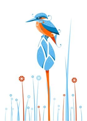 kingfisher bird