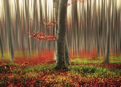 Surreal autumn forest