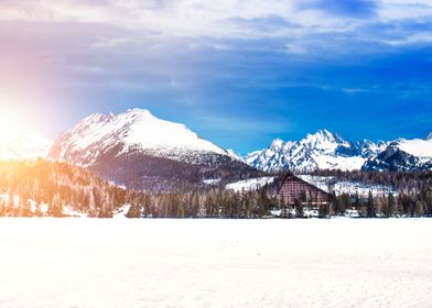 Winter Mountain Landscape