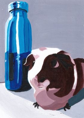 Still life with Guinea Pig