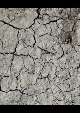 Desert Cracks Salt Lake