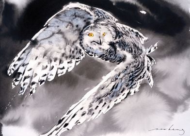 Snowy Owl2