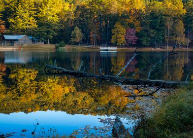 USA Lake Forests Autumn L