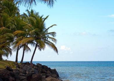 Puerto Rico Beach Tropical