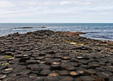 Giants  Causeway  GiantS C