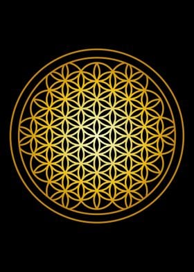 Sacred Geometry Yoga DMT