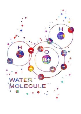 Water Molecule 