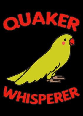 Quaker Whisperer Parrot