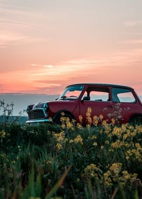 Red Classic Mini in Field