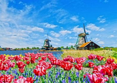 windmill in Holland